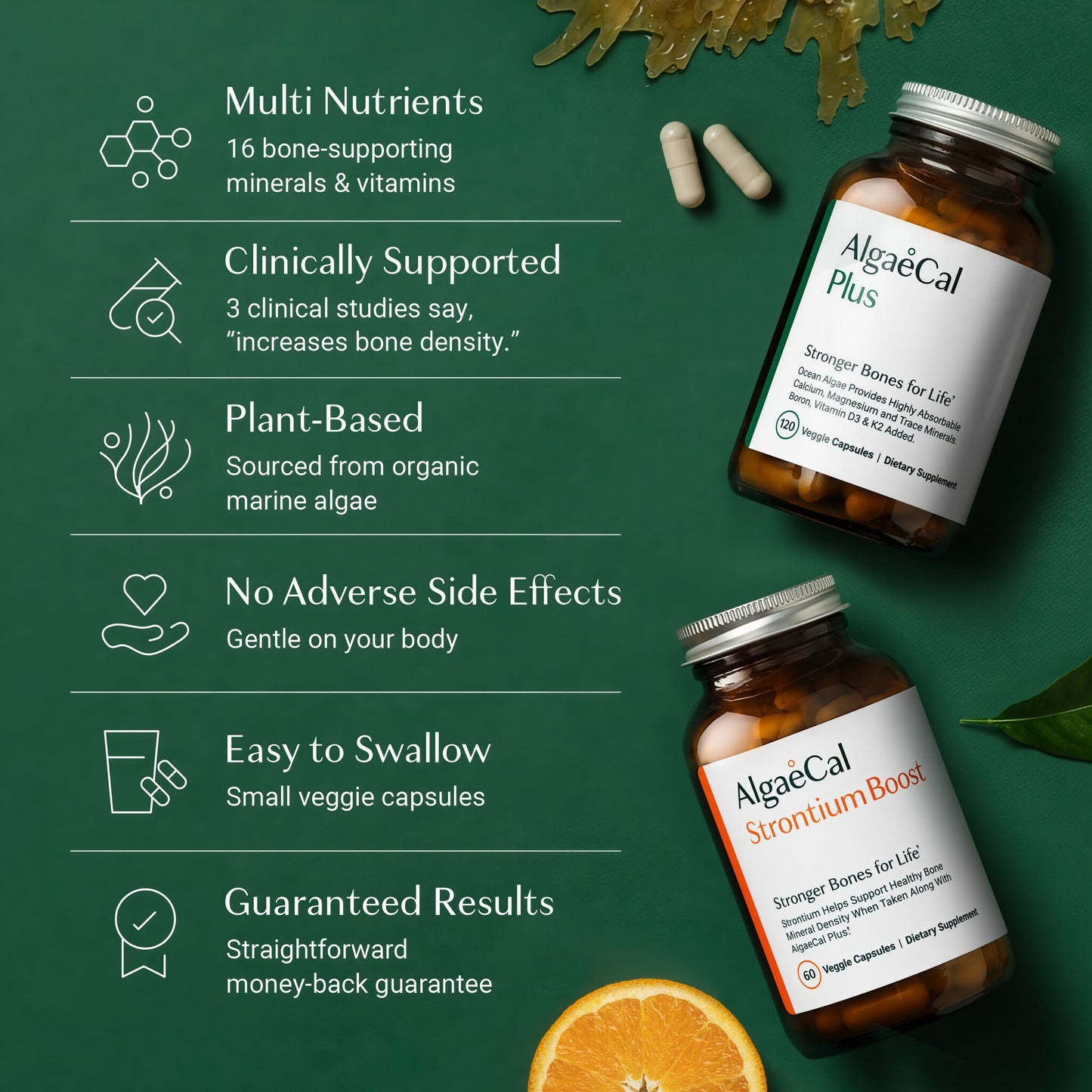 AlgaeCal - Bone Builder Pack for Bone Density Increase Vitamins