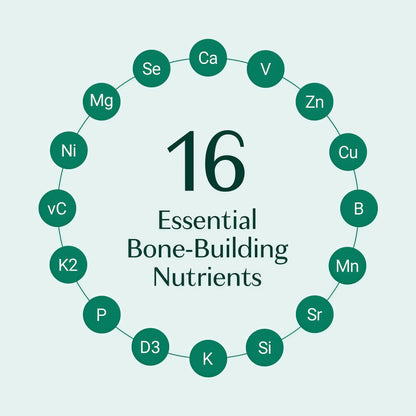 AlgaeCal - Bone Builder Pack for Bone Density Increase Vitamins