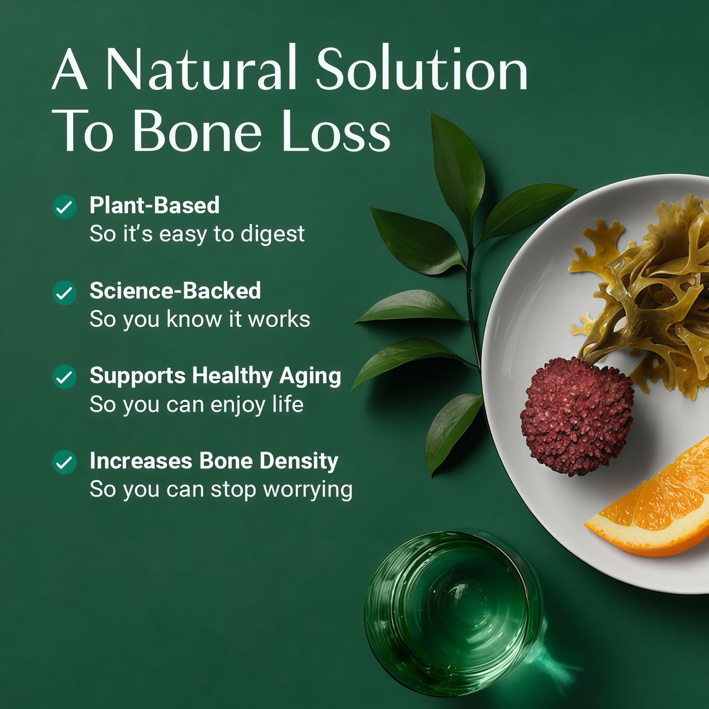 AlgaeCal - Bone Builder Pack for Bone Density Increase Vitamins