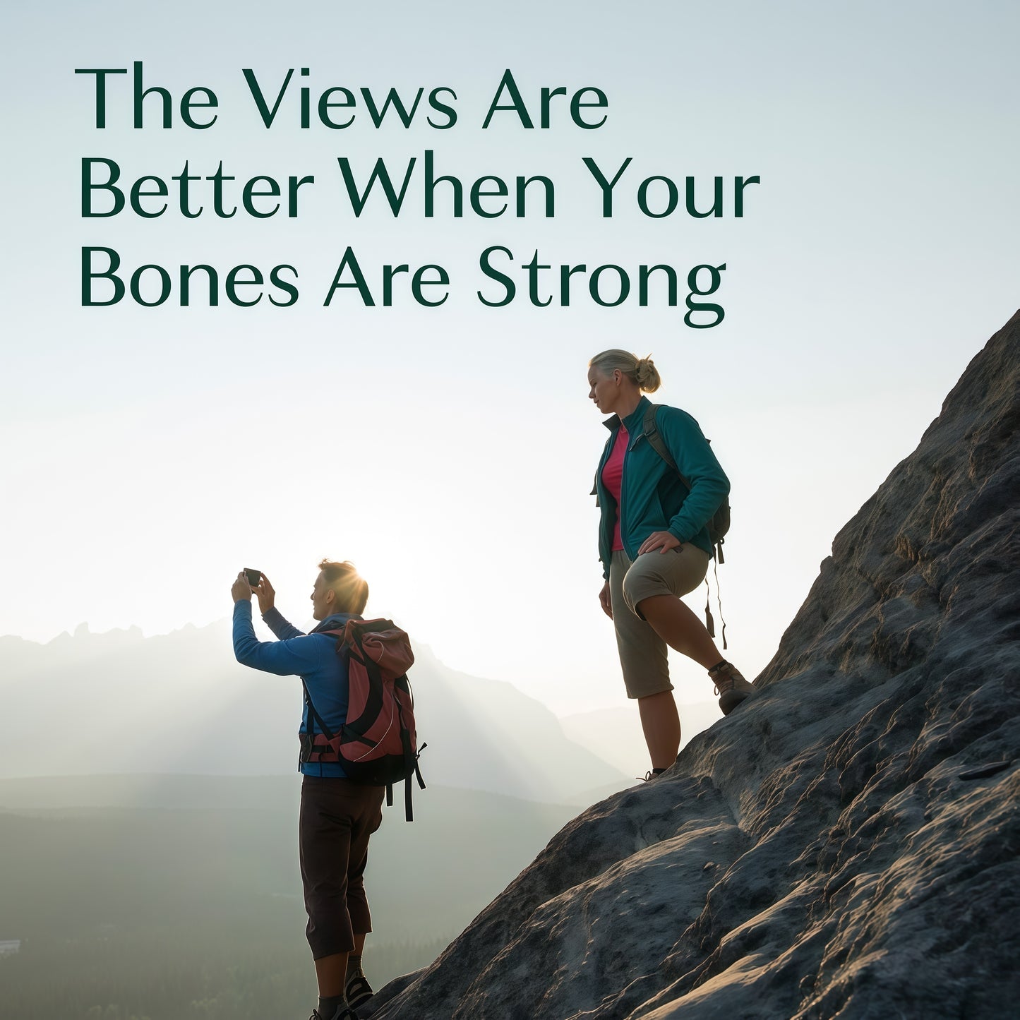 AlgaeCal - Bone Builder Pack for Bone Density Increase Vitamins